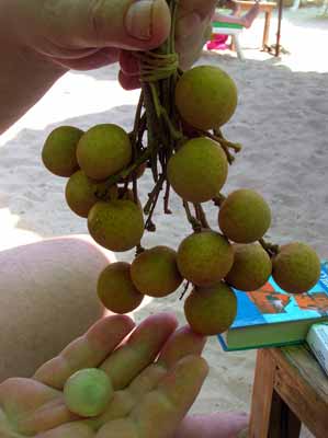 Авторская кукла путешествует