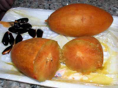 Авторская кукла путешествует